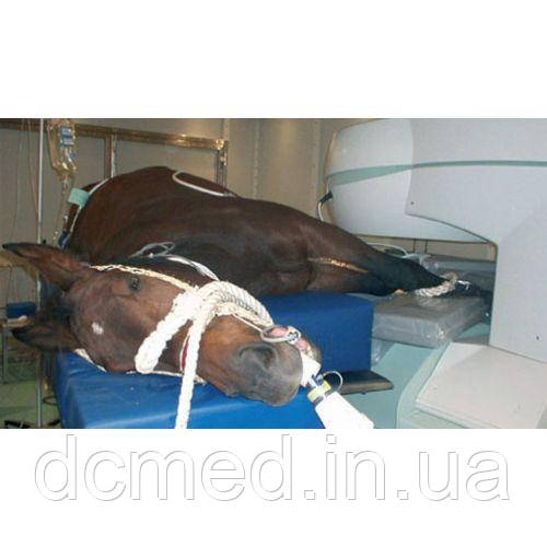 4177163416_veterinarnij-tomograf-vet-mr