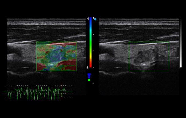photo_2024-01-02_14-31-11