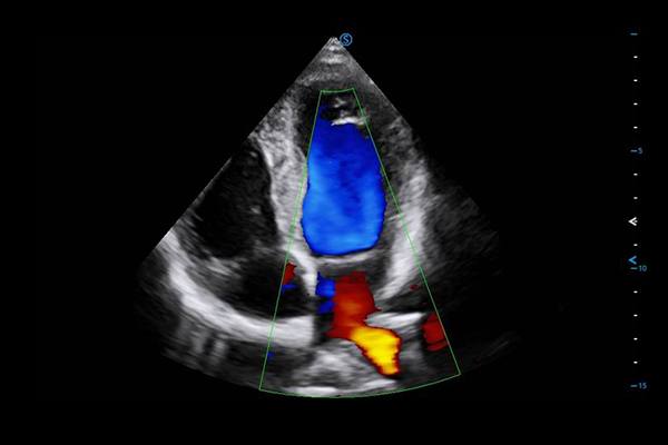 photo_2024-01-02_14-44-15